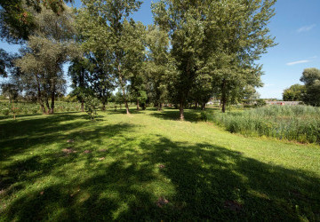 Vista su parte del parco, dove rilassarsi all'ombra delle querce