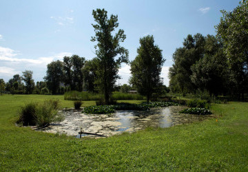 Una delle diverse aree del parco, con un piccolo stagno circondato da querce   