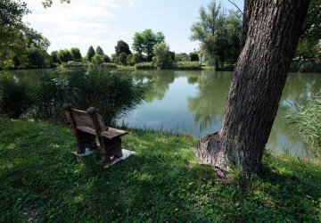 Scorcio sul lago, luogo perfetto per i momenti di totale relax